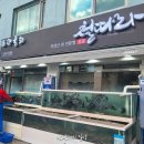 철따라 횟집 | 대치동 맛집, 자연산 횟집 철따라 자연산