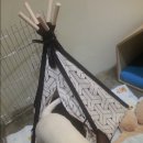 가로수동물병원 이미지