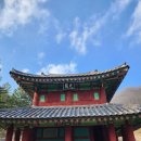 영감사 Daum카페