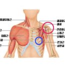 부평 프리웨이트 헬스 PT 이미지