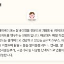 대미케이크