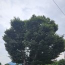 창의리 마을회관 이미지