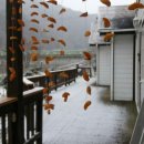 잠자리팬션 이미지