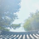 산남의진 추모비 | [답사]영천 충효재(2025.06.19.답사)