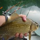 덕곡낚시터 이미지