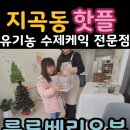룰루베리 이미지