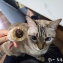 (주)스핀테크 | 스핀바이크추천 멜킨스피닝바이크 15kg 3주차 사용후기
