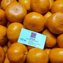 오명석농장 이미지