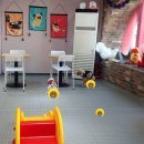 유앤독 | 익산애견카페(애견유치원)추천해요 ~