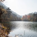 물통골 펜션가든 이미지