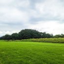 월성파출소 이미지