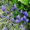 가실농장 이미지