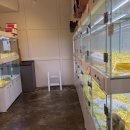 퍼스트펫 이미지