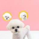 반하다몽몽 네이버블로그