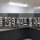 백조미트 이미지