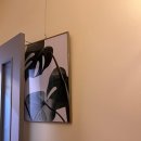 선형유외과의원 이미지