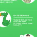 뱀 많이 나오는 꿈 작은 큰뱀 나오는 꿈 관련해서 확인해보니 이미지