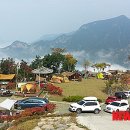 정선 국민여가캠핑장 이미지