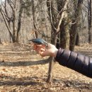 아름다운공인중개사사무소 이미지