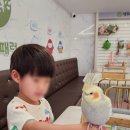 리프패럿광진구 | [내돈내산] 5살 아이와 리프패럿 강변점 앵무새 카페 데이트! (재방문 고민되는 이유)
