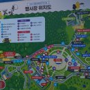 영동 세계국악엑스포를 다녀와서 이미지