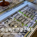 비젼안경콘택트 | 천안 하늘비전안경콘택트 시기능 검사 후 내 눈을 제대로 알게 된 시간!