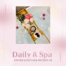데일리앤스파 이미지