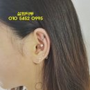 수원-0995 이미지