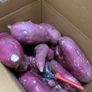 프레시크레딧개롱역점
