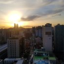 라성아카데미타워 이미지