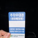 양재시장 | 양재 꽃 시장 후기 :)