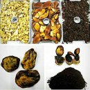 김종호한의원 이미지