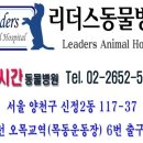 투투 동물병원 이미지