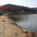 광시면010 이미지