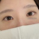 래쉬톡(lashtalk)