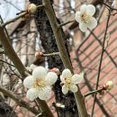 한컴쥬얼리 - 강남구 선릉로162길 27 | 서울중부기술교육원 방송영상크리에이터학과 5개월 과정 이수 후기