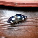 다정한오후 이미지