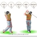 골프 스윙 7단계 이미지