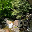 광양사슴농장 이미지