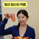 청정회타운 이미지