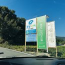 청도군-15 | 청도 브리즈힐캠핑앤카라반 캠핑장 A01 에서 솔로캠핑 ( feat. 코베아 몬스터 아이보리 )