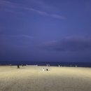 해운대전통시장 이미지