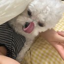 맥콰리유니영어교실 | 사랑의이름으로!