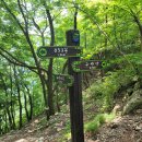 구병리 공중화장실 | 구병산(20220618)