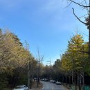 레포레스트(REFOREST) 이미지