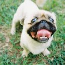 무지개다리 이미지