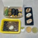 병아리김밥춘천장학점