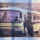 수송모터스 이미지