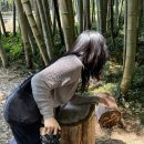 대한목장 이미지