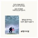 늘, 고운펫 | [공지] 반려동물 종합영양제, 시리어스펫 코제트로 매일 건강케어
